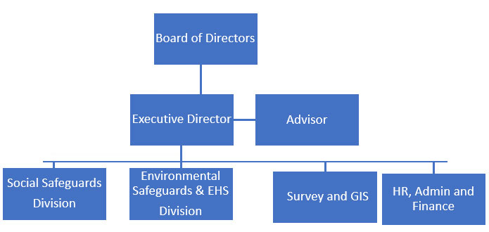 Organization Structure